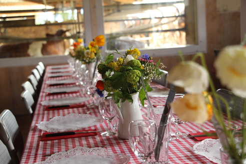 Partyraum und Bewirtung - Straussenfarm Mörschwil